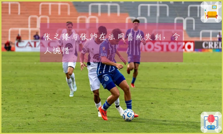 张之臻与张帅在法网首轮失利，令人惋惜