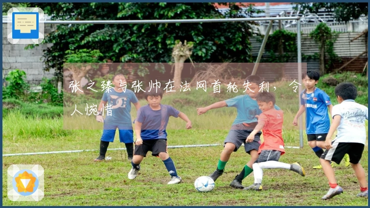 张之臻与张帅在法网首轮失利，令人惋惜